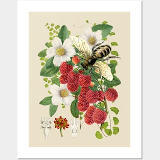 Botanical Bee II Beautiful Modern Nature Study Posters and Art